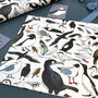 Coastal Birds Of Britain Wrapping Paper Set, thumbnail 6 of 9