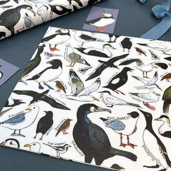Coastal Birds Of Britain Wrapping Paper Set, 6 of 9