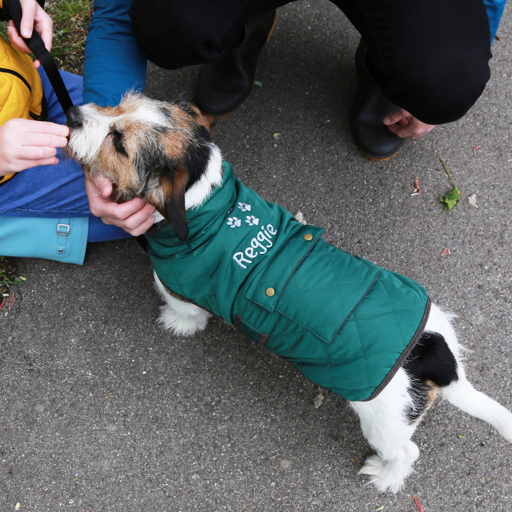 Personalised Quilted Dog Coat By Duncan Stewart