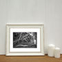Tree Roots And Branches, Norfolk Photographic Art Print, thumbnail 2 of 4