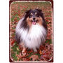 Personalised Pet Photo Quality Vintage Metal Sign, thumbnail 5 of 7