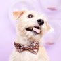 Glitter Party Pet Bow Tie, thumbnail 4 of 5