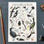 Coastal Birds Of Britain Illustrated Postcard, thumbnail 1 of 8