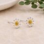 Large Sterling Silver And Gold Daisy Flower Stud Earrings, thumbnail 2 of 7