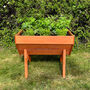 Raised Vegetable Herb Wooden Planter With Three Liners, thumbnail 4 of 8