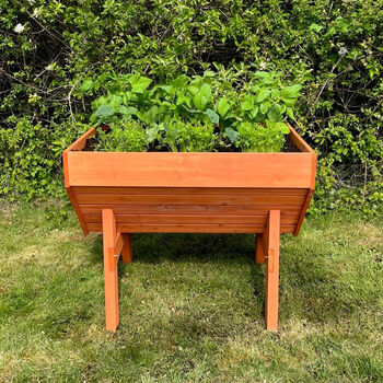 Raised Vegetable Herb Wooden Planter With Three Liners, 4 of 8