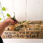 Personalised Grow Your Own Herbal Botanist Garden, thumbnail 4 of 5