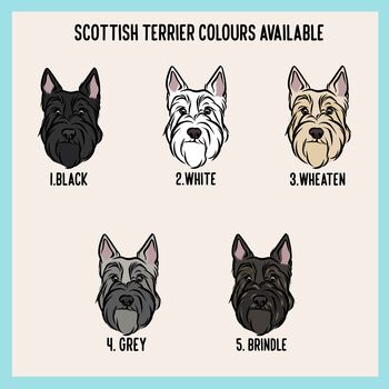 Scottish Terrier T Shirt, 4 of 6