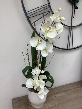 Cream Artificial Silk Luxury Orchid Mothers Day Gift, 3 of 7