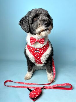 Red Heart Dog Lead/Leash, 5 of 5