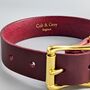 Personalised Burgundy Leather Dog Collar, thumbnail 2 of 7