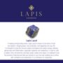 The Fan Lapis Lazuli Charm Earrings, Gold, thumbnail 5 of 6