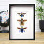 Jewel Beetle Collection I Insect Bug Entomology Taxidermy Box Frame, thumbnail 1 of 3