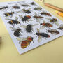 Bees Of Britain Illustrated Postcard, thumbnail 8 of 11