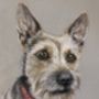 Personalised Pet Portrait Commission, thumbnail 7 of 12
