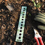 Personalised Acrylic Seed Planting Ruler, thumbnail 1 of 7