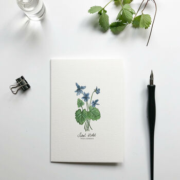 Botanical Wildflowers Hand Illustrated Notecard Set, 2 of 7