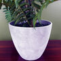 70cm Artificial Tree Fern With Decorative Planter, thumbnail 2 of 3