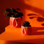 Origami Self Watering Eco Plant Pot: 15cm | Coral, thumbnail 6 of 7