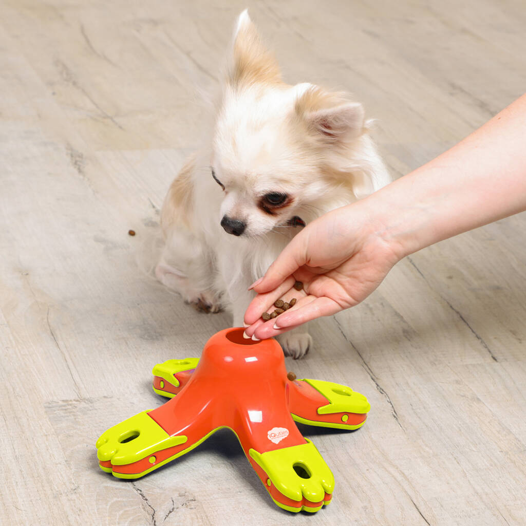 Boredom Buster Puzzle Dog Toy Kibble Drop By NOAH'S ARK