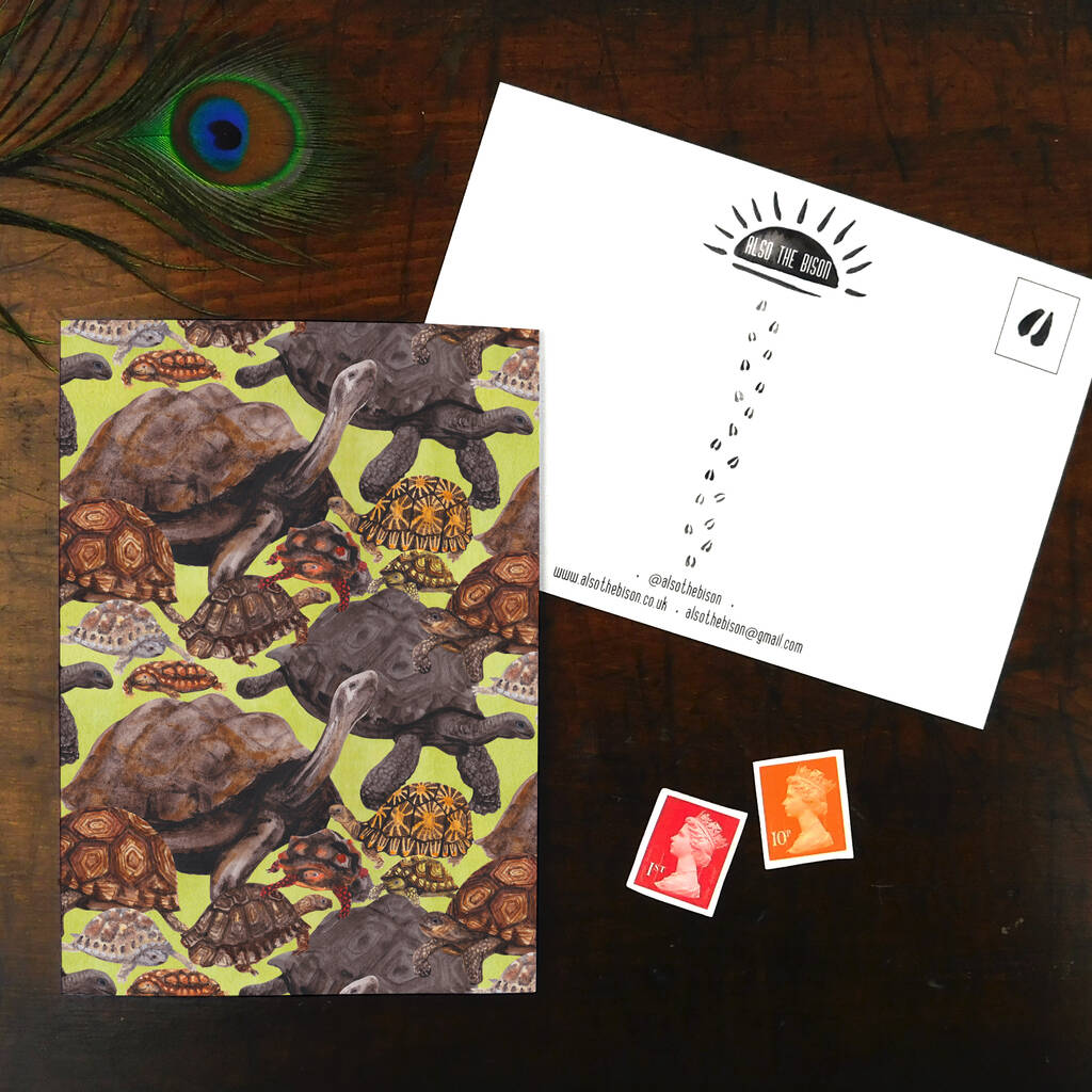 Creep Of Tortoises Print Postcard, 1 of 7