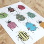 Bugs Fine Art A4 Giclee Print, Beetle Illustration, thumbnail 3 of 5