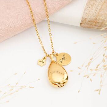 image of the product related to this review