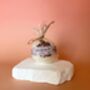 The Therapeutic Bath Bomb, thumbnail 4 of 5