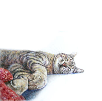 Custom Pet Portrait Drawing Or Gift Voucher, 9 of 12
