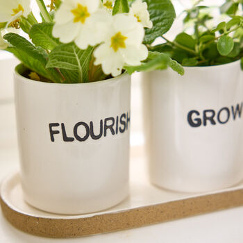 Grow Thrive Flourish White Ceramic Herb Mini Plant Pots, 4 of 4
