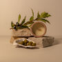 Terra Oliva, Terracotta Candle Jar, Olive And Thyme, thumbnail 2 of 8
