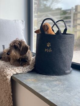 Personalised Dog Kit, Trug Storage Basket, 4 of 4