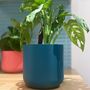 3D Printed Curved Plant Pot – Gardening Gifts, thumbnail 1 of 9