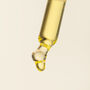 Rose Hip + Chia Seed Regenerative Serum, thumbnail 2 of 4