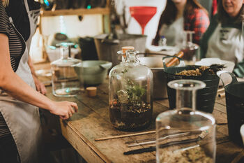 Terrarium Workshop In Brighton For Two, 6 of 6