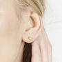 Seashell Earrings With 22ct Gold Vermeil, thumbnail 1 of 5