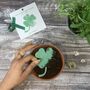 Plant A Clover Seed Paper Card, thumbnail 2 of 5