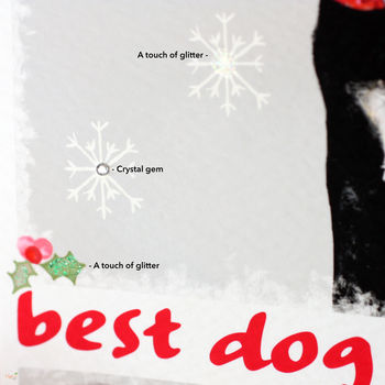 Personalised 'Rosie' Dog Christmas Card, 4 of 7