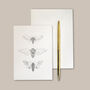 Tissue Wrapped Darwin Stationery Set, thumbnail 6 of 8