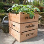 Personalised Potato Planter Crate, thumbnail 1 of 4