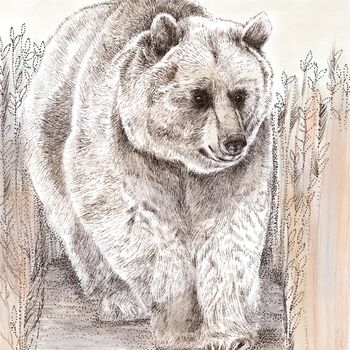 'Bear' Print, 3 of 3