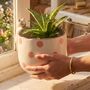 Peeking Cat Planter, thumbnail 1 of 4