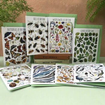 Wildlife Of Britain Greeting Cards Multi Pack Of Twelve, 2 of 12
