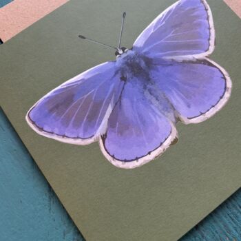 Common Blue Illustrated Butterfly Blank Card, 2 of 2