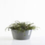 Ecopots Frankfurt Planter Made From Recycled Plastic, thumbnail 2 of 3