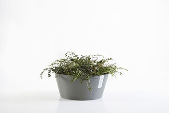 Ecopots Frankfurt Planter Made From Recycled Plastic, 2 of 3
