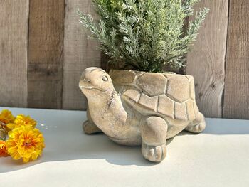 22cm Turtle Plant Pot Distressed Beige Stone Flower Holder Planter, 2 of 7