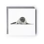 Ara The Seal Luxury Blank Greeting Card And Envelope, thumbnail 1 of 2