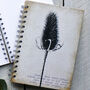 Teasel Seed Head Journal / Notebook, thumbnail 2 of 2