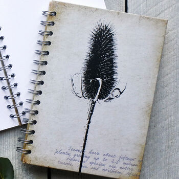 Teasel Seed Head Journal / Notebook, 2 of 2